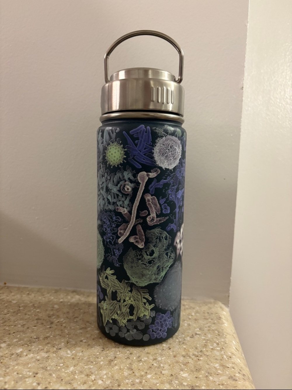 NWT Insulated Water Bottle